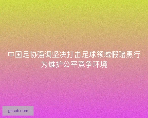 中国足协强调坚决打击足球领域假赌黑行为维护公平竞争环境
