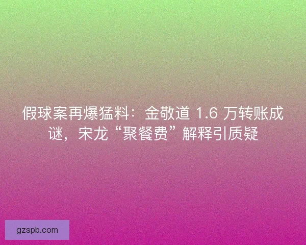 假球案再爆猛料：金敬道 1.6 万转账成谜，宋龙 “聚餐费” 解释引质疑
